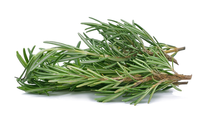 20g Punnet of Rosemary - Christmas Delivery